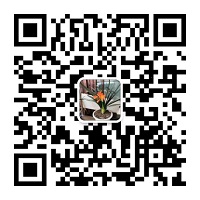 1608539314919353492